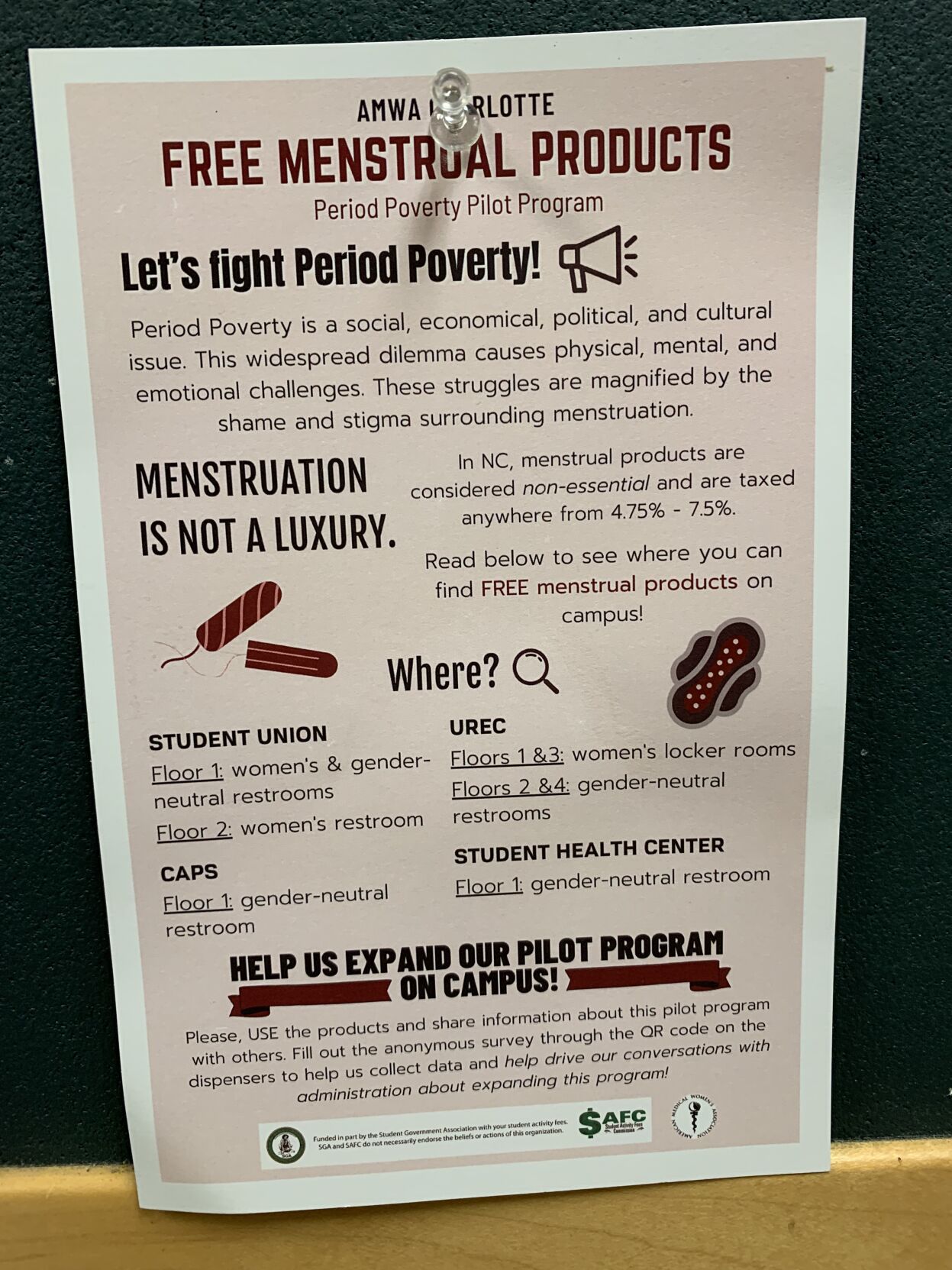 Flyer - Period Poverty Initiative